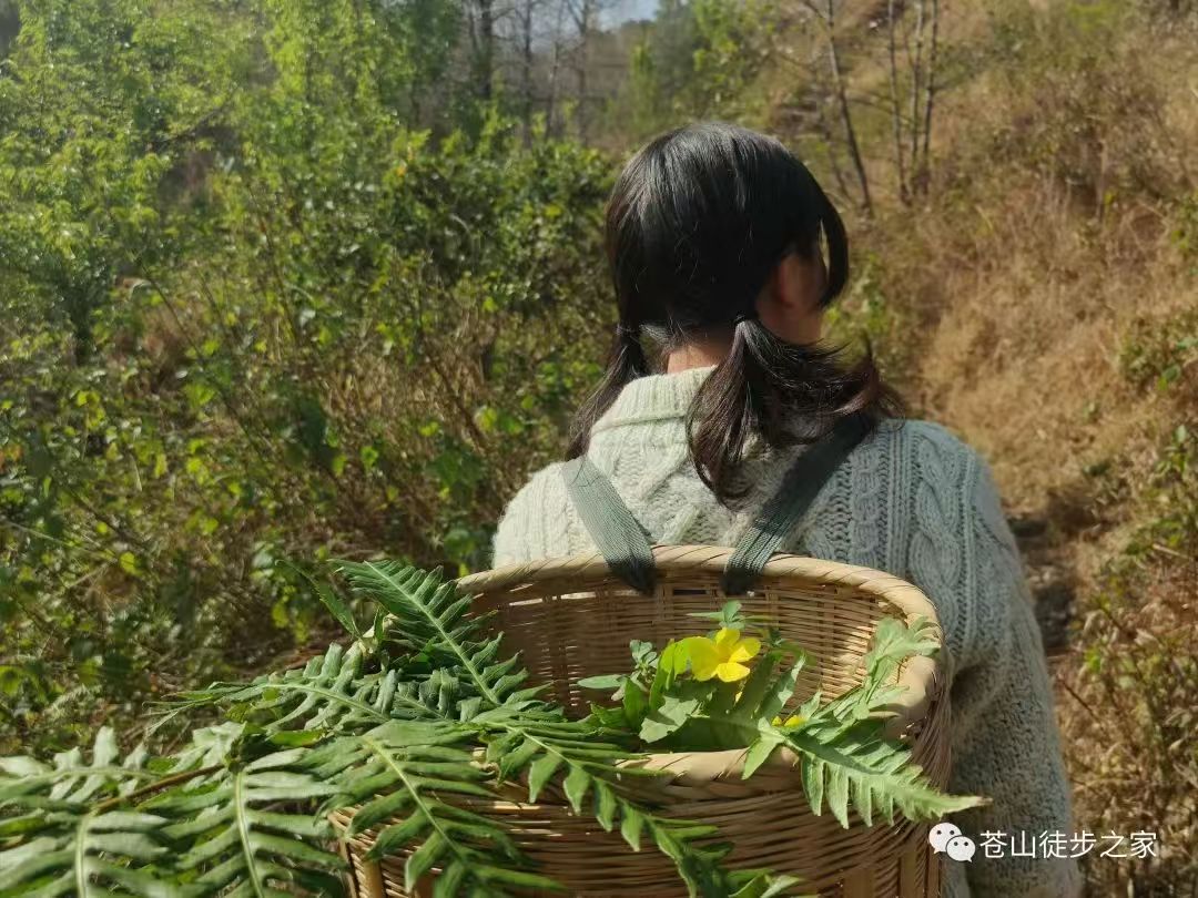 Mini va de excursión a la montaña a recoger frutas | Tintura junto al arroyo