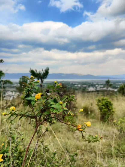 Randonnée dans la forêt de fougères (moyenne distance) 