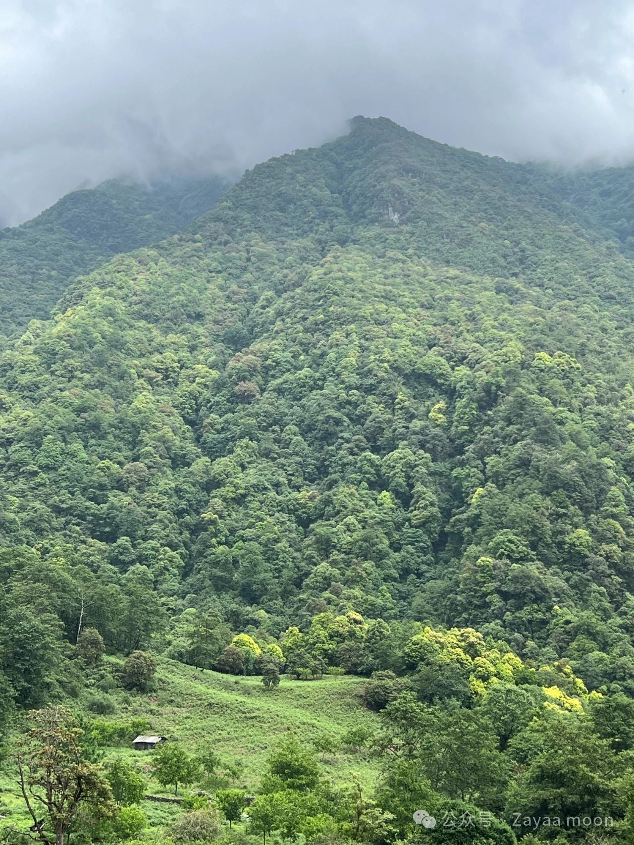 西坡深山里“亲戚”家的一天 | 苍山的另一边