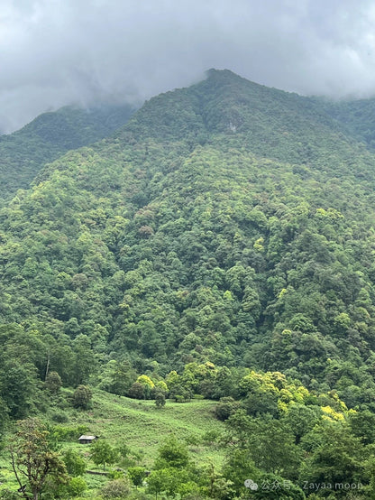 西坡深山裡「親戚」家的一天| 蒼山的另一邊