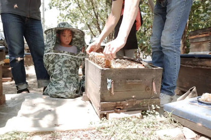 El &quot;Proyecto Caravana&quot; de Chunyu | Lleva a las abejas a un viaje para encontrar lugares donde florecen las flores