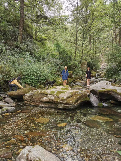 Caminata por el río en el arroyo para niños de 6 años en adelante