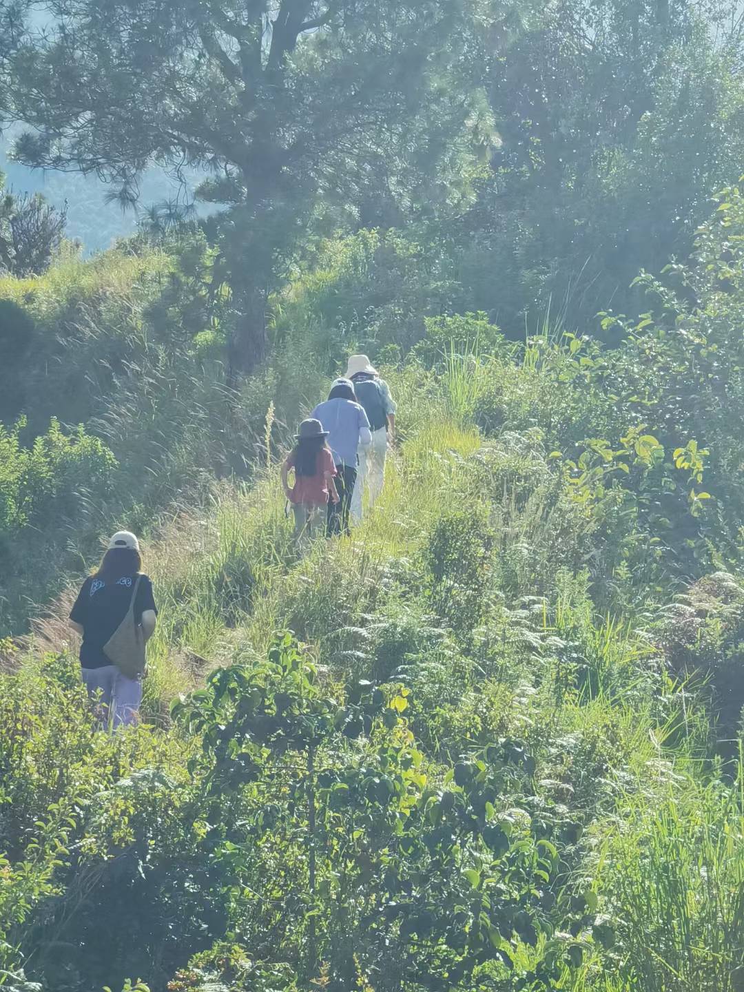 軽いハイキングで茶馬古道と山の中の南詔遺跡を訪ねる 