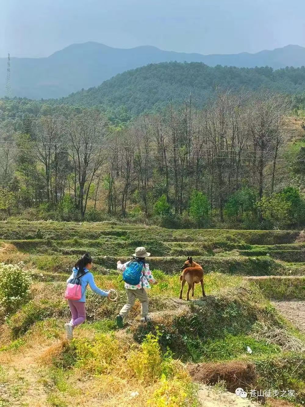 Đi bộ đường dài đến suối, vẽ lên những viên sỏi và mang chúng về nhà