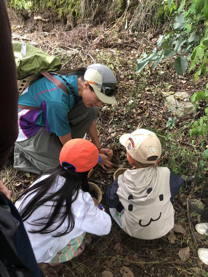 Mini recogida de piñones y recolección de setas en el bosque