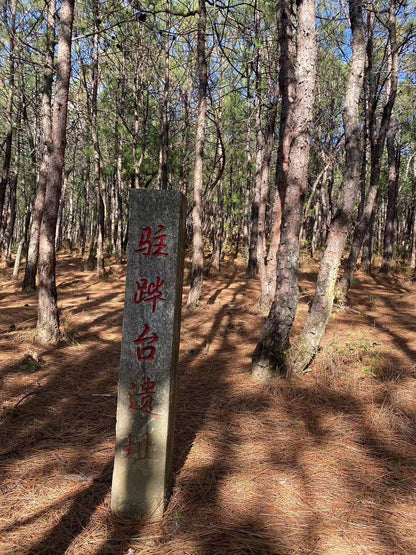 闊松坪輕徒步| 田野· 溪流· 森林