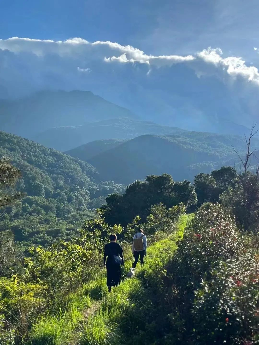 Wandern entlang der alten Tee-Pferde-Straße und den Nanzhao-Ruinen in den Bergen