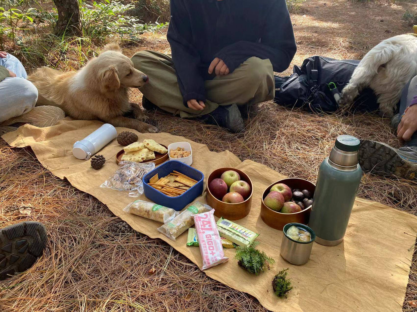 闊松坪輕徒步| 田野· 溪流· 森林