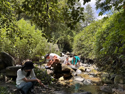 Caminata por el río en el arroyo para niños de 6 años en adelante