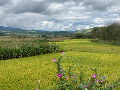 凤羽山野轻徒步｜乡村、田野和古寺