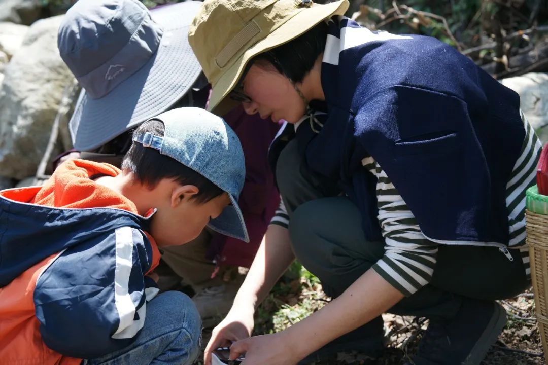 自然観察とノート | 鳥類、植物、昆虫 