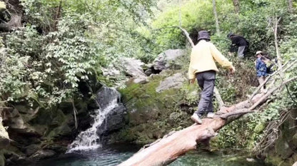 Caminata por el río en el arroyo para niños de 6 años en adelante