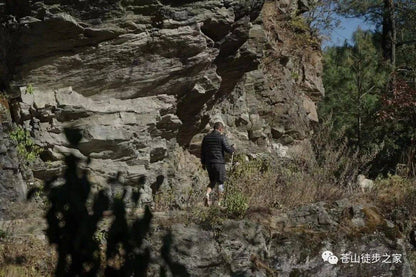 徒歩で中和寺に到着し、精進料理を楽しんで、中和大峡谷を横断します（中距離）。 