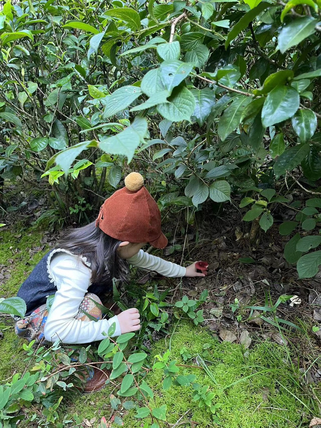 Mini recogida de piñones y recolección de setas en el bosque