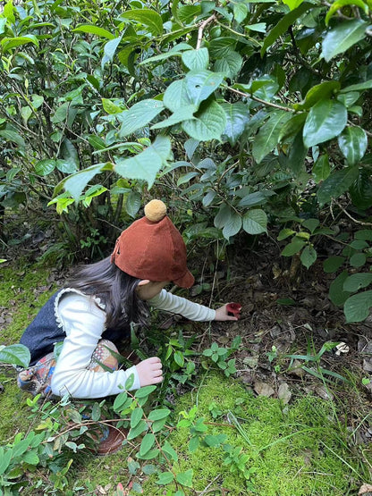 Mini recogida de piñones y recolección de setas en el bosque