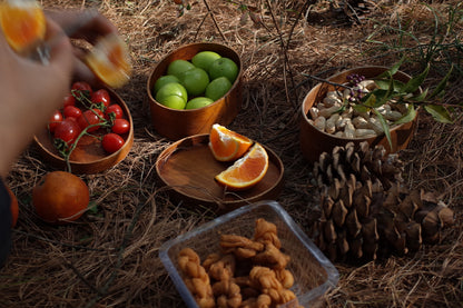 Go to Cangshan Mountain to pick pine cones and pine nuts 