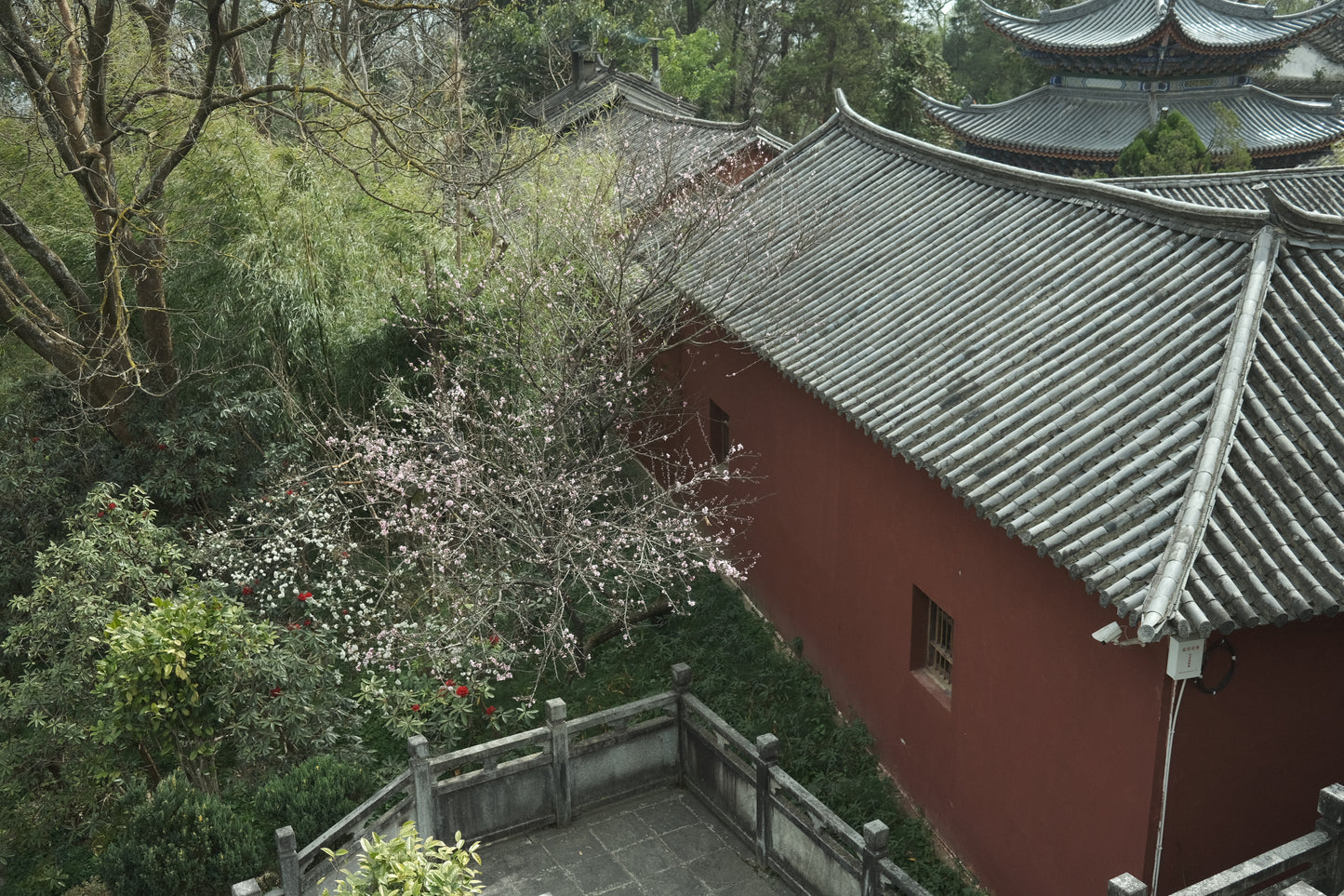 去无为寺吃斋饭｜苍山野道徒步捡松果