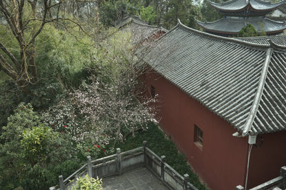 去无为寺吃斋饭｜苍山野道徒步捡松果