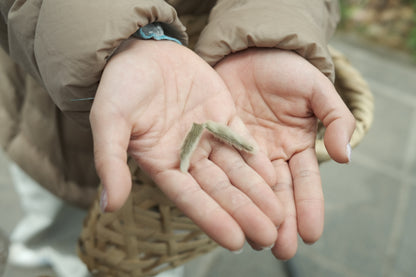 去无为寺吃斋饭｜苍山野道徒步捡松果