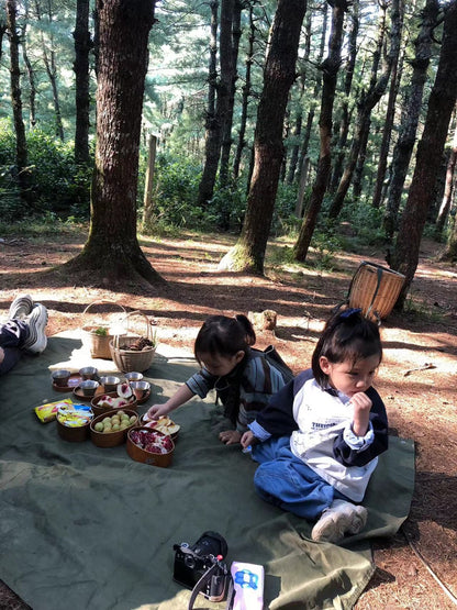 Mini recogida de piñones y recolección de setas en el bosque