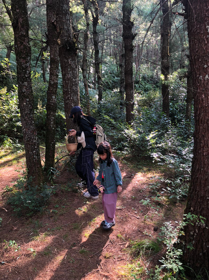 Mini recogida de piñones y recolección de setas en el bosque