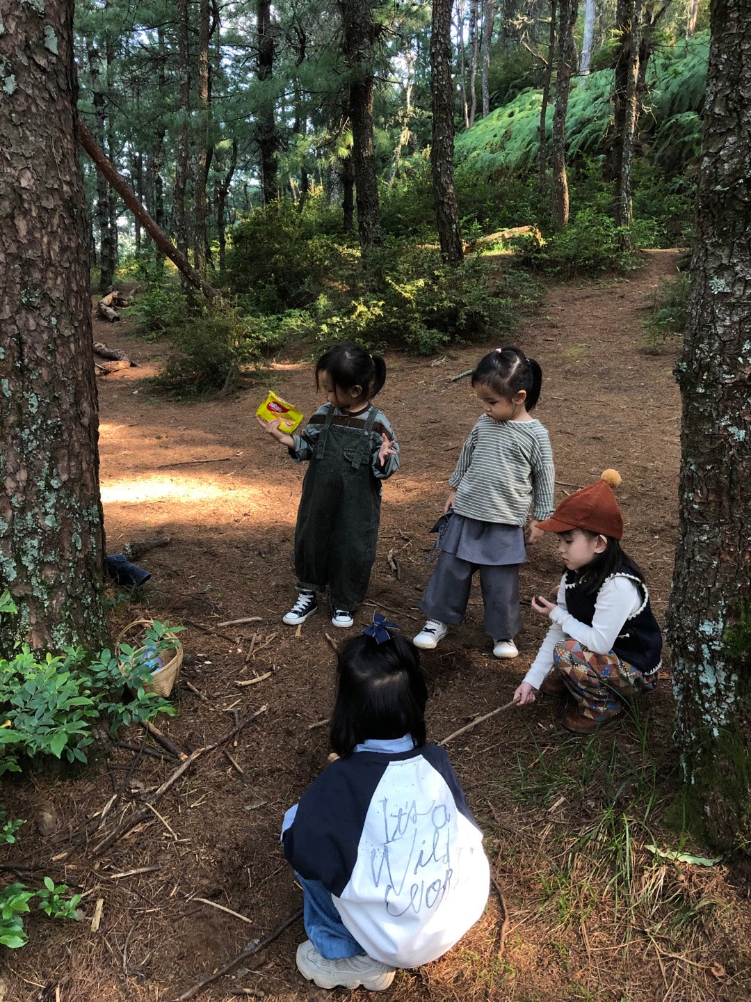 Mini recogida de piñones y recolección de setas en el bosque