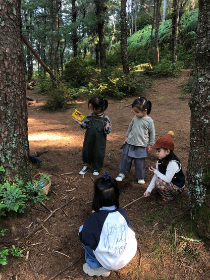 Mini recogida de piñones y recolección de setas en el bosque