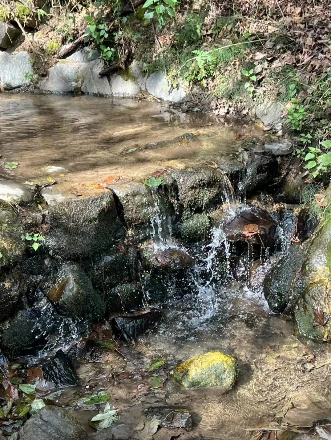 無為寺（山里を歩く） 