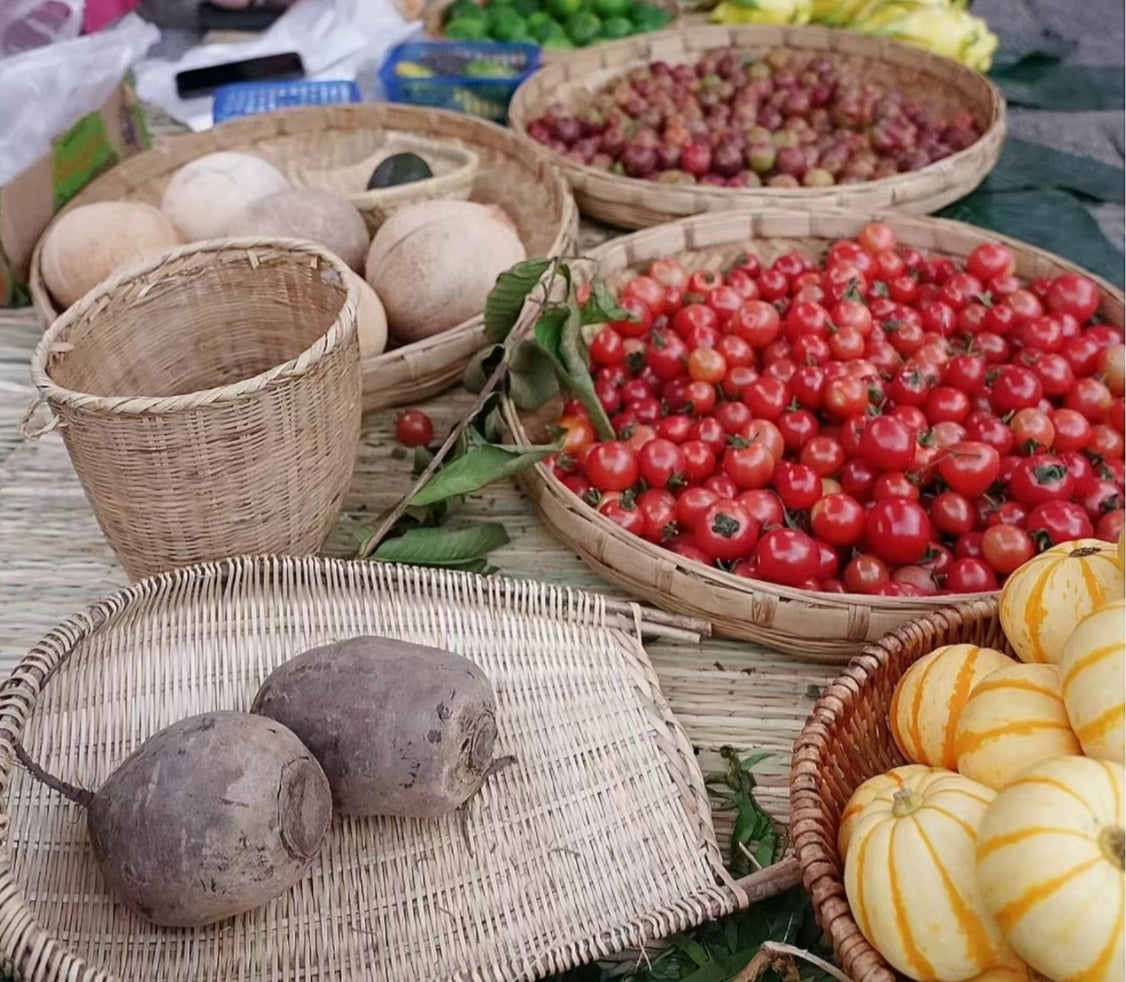 去有機農場採摘| 和紅紅一起在家做飯