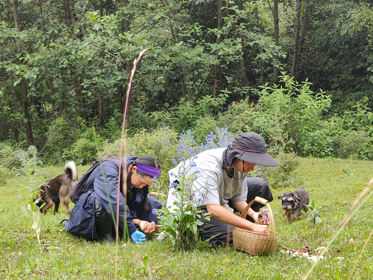 Hướng dẫn cùng nhau