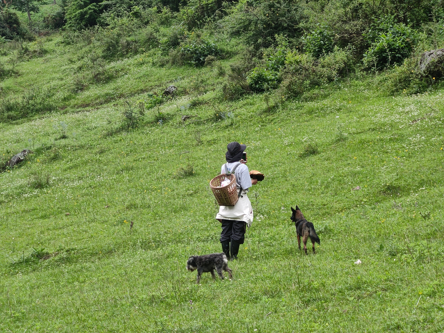 Hướng dẫn cùng nhau