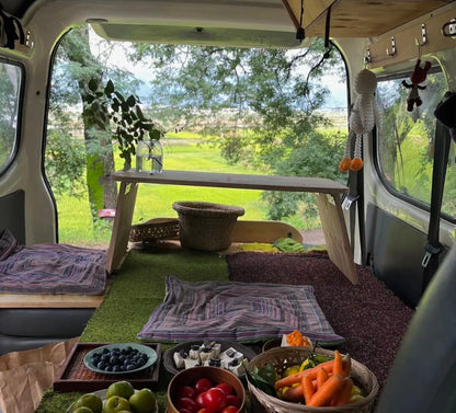 面包车旅行 | 乡村树林和植物的采集·野餐