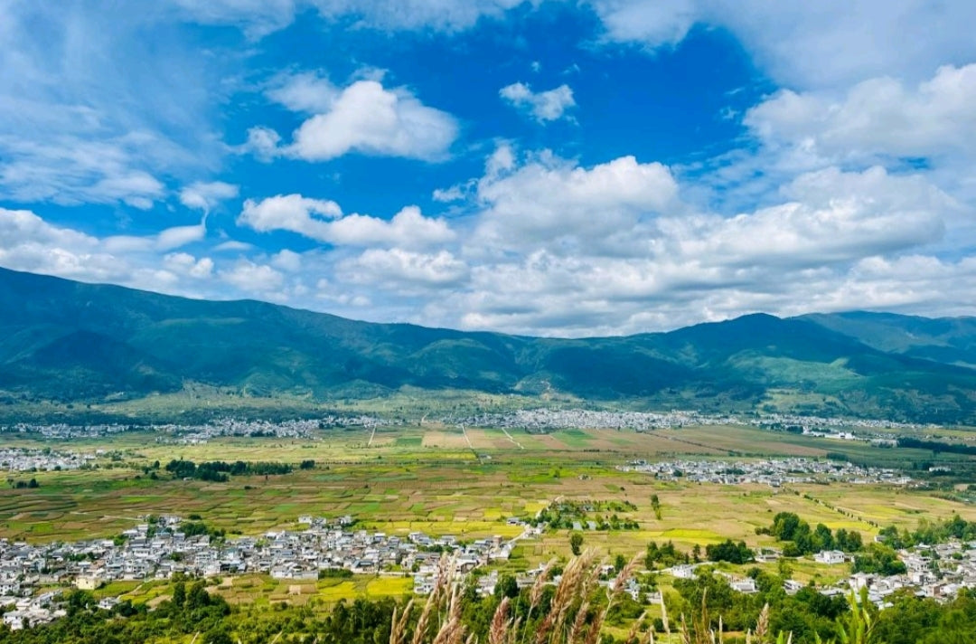 凤羽山野轻徒步｜乡村、田野和古寺