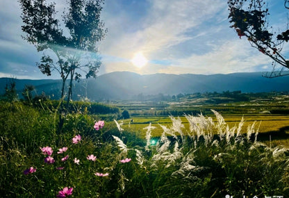凤羽山野轻徒步｜乡村、田野和古寺
