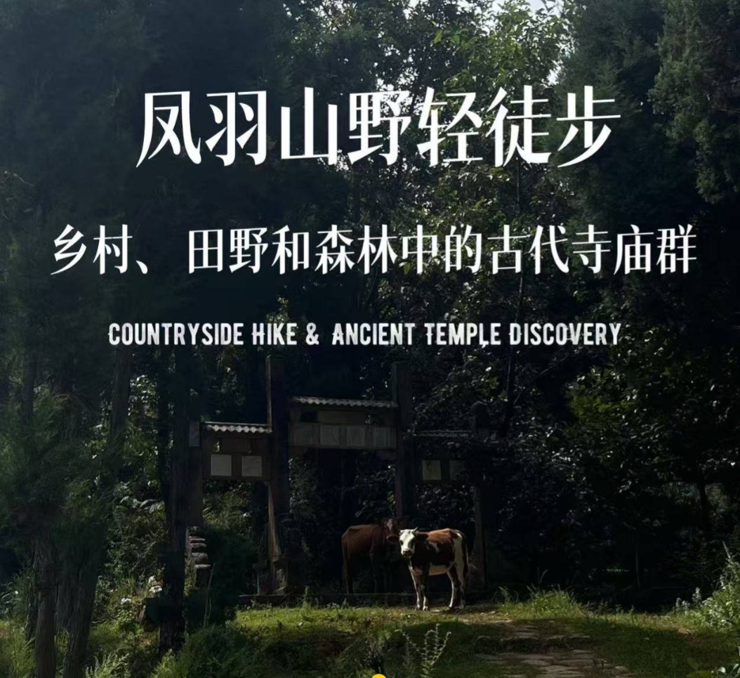 凤羽山野轻徒步｜乡村、田野和古寺