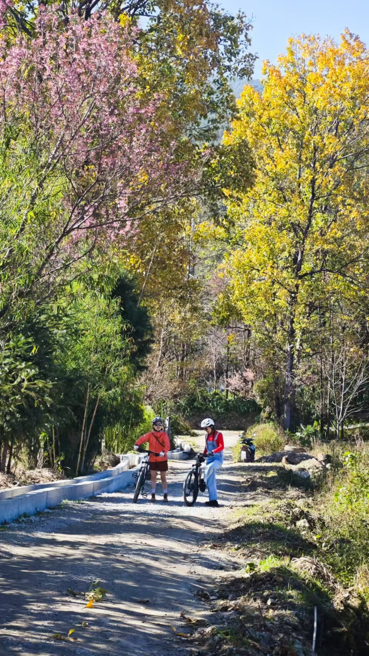 Radfahren rund um Dali | Die Dörfer und Menschen am Fuße des Cangshan-Bergs erkunden