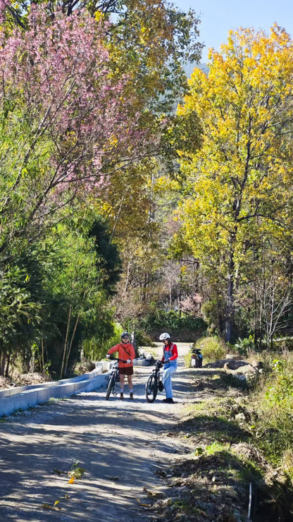 En bicicleta por Dali | Explorando los pueblos y la gente al pie de la montaña Cangshan