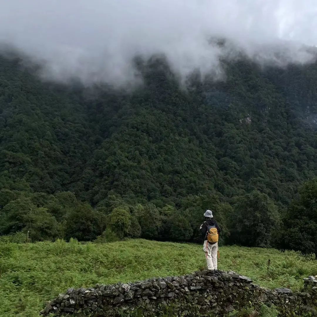 (Junio-noviembre) Campamento en la ladera oeste de la montaña Cangshan