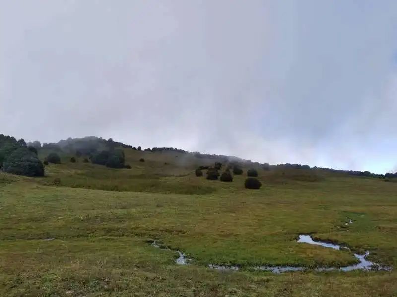 Wanderung zum Berg Jizu | Ein buddhistischer Pilgerweg (mittlere Distanz)