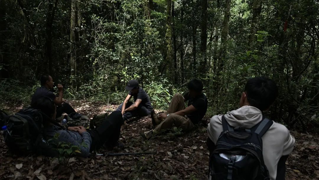 เดินป่าขึ้นเขาจิซู | เส้นทางแสวงบุญพุทธศาสนา (ระยะกลาง)