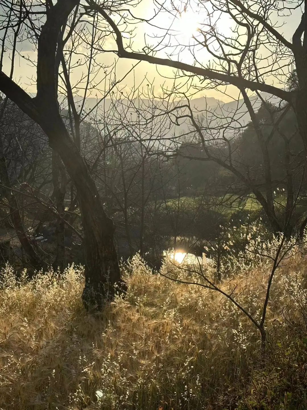 시포 깊은 산 속 &#39;친척&#39; 집에서 보낸 하루 | 창산의 저편