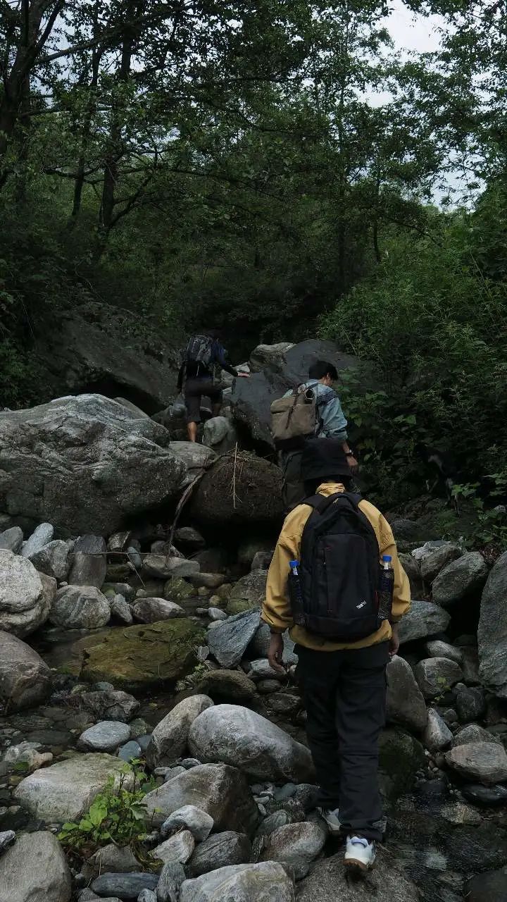 Caminata por el río en el arroyo para niños de 6 años en adelante