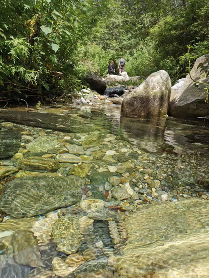 Caminata por el río en el arroyo para niños de 6 años en adelante