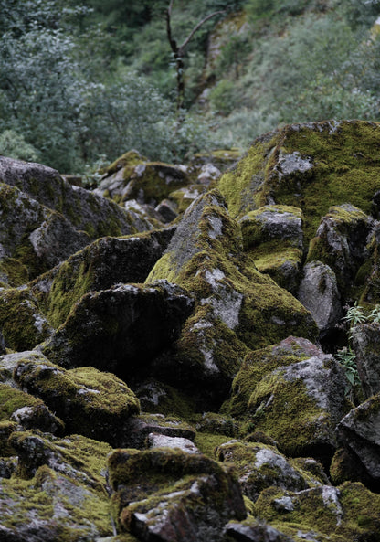 徒歩で梅渓峡谷へ | 寺院、鉱山、玉帯路の端（中距離） 