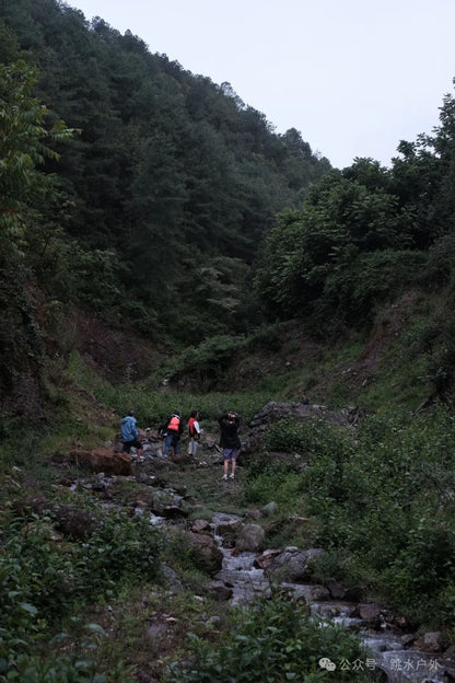 （6月、7月）深山採梅子| 釀一瓶青梅酒