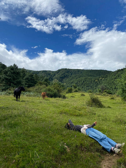 凤羽山野轻徒步｜乡村、田野和古寺