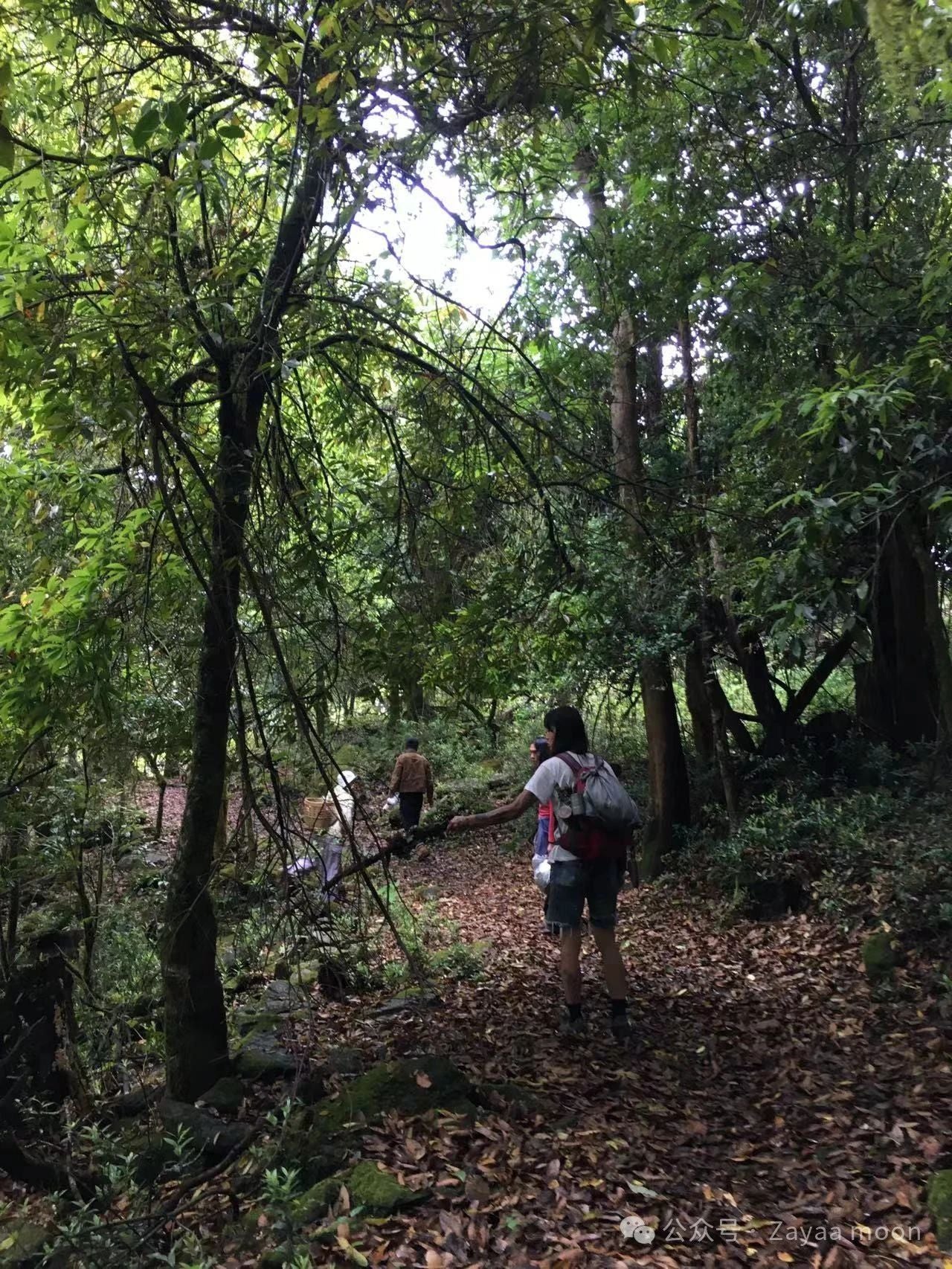 Un día en la casa de un &quot;pariente&quot; en las profundas montañas de Xipo | El otro lado de la montaña Cangshan