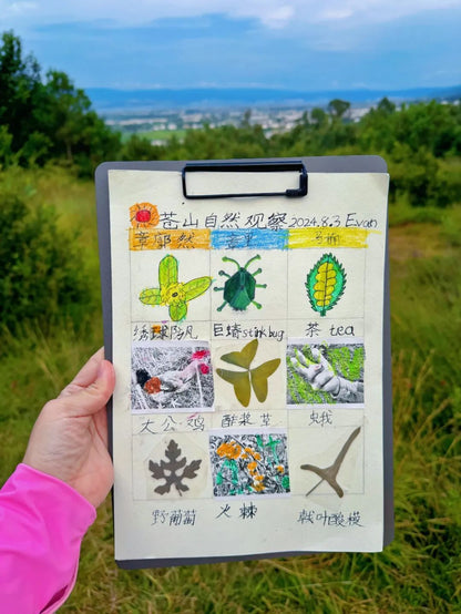 自然観察とノート | 鳥類、植物、昆虫 