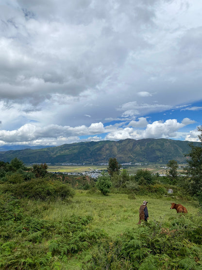 凤羽山野轻徒步｜乡村、田野和古寺