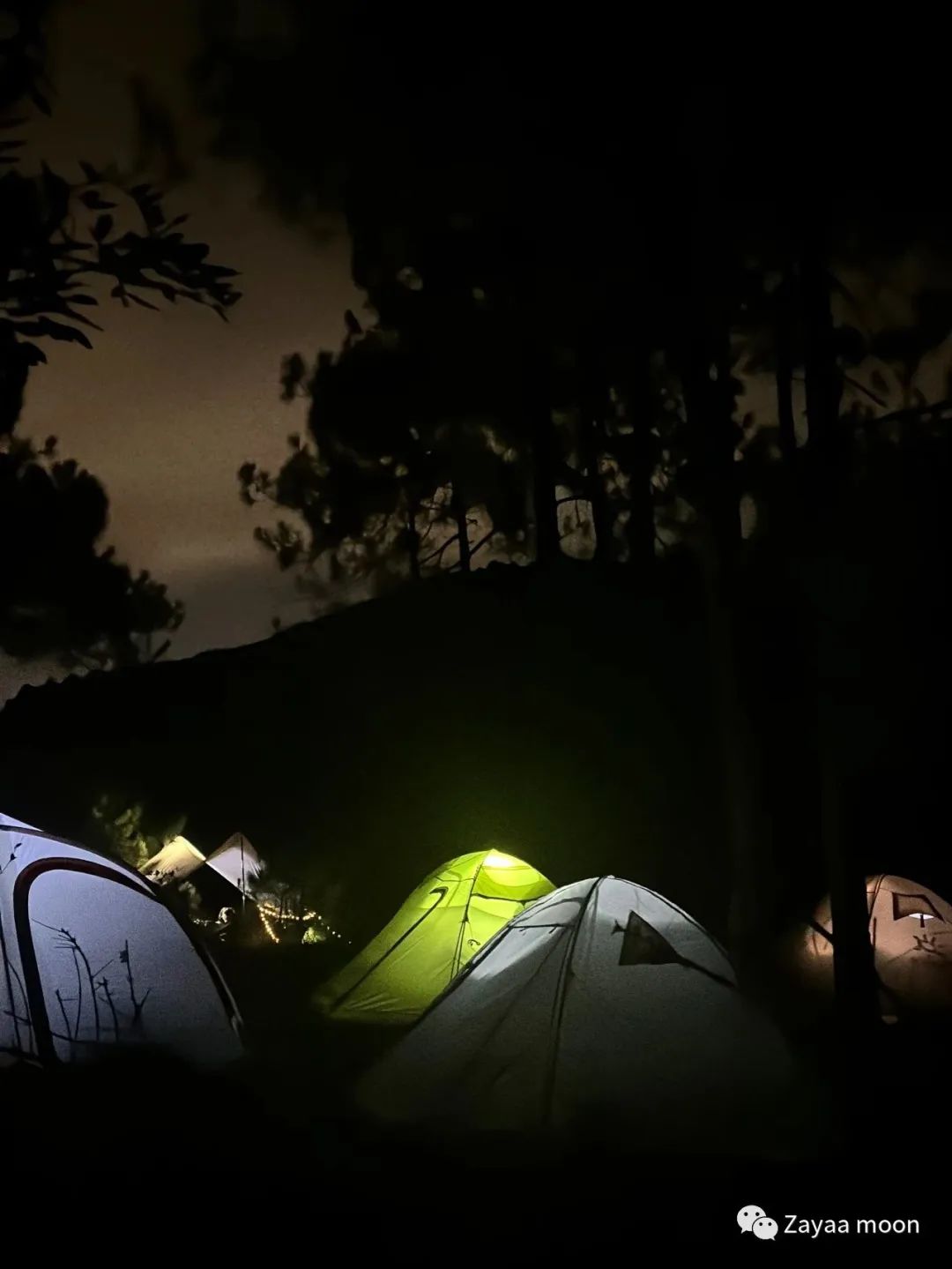 Acampada en la isla y en el bosque del lago | Embalse de Jizi